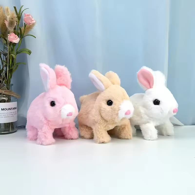 Cute Soft Walking Bunny INVOICE PAY