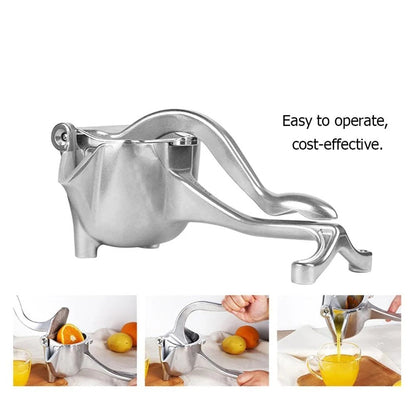 Stainless Steel Fruit Press Juicer INVOICE PAY